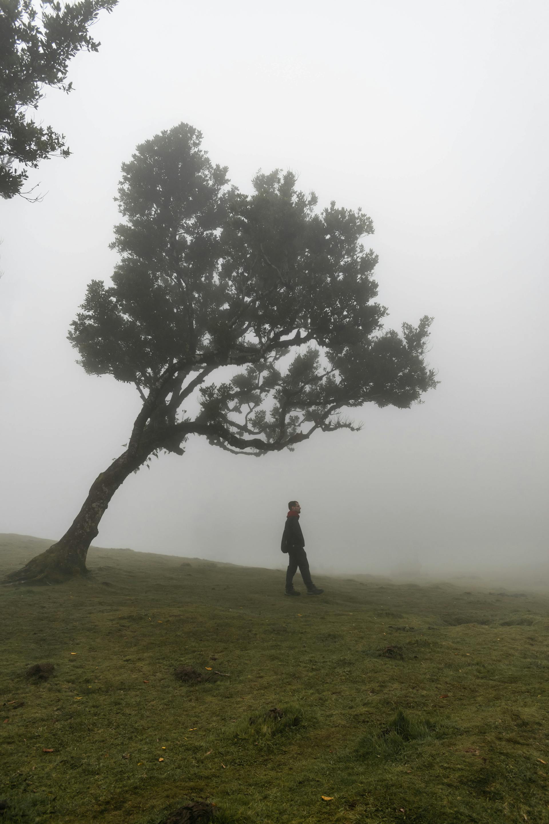 man taking a photo on a wharf