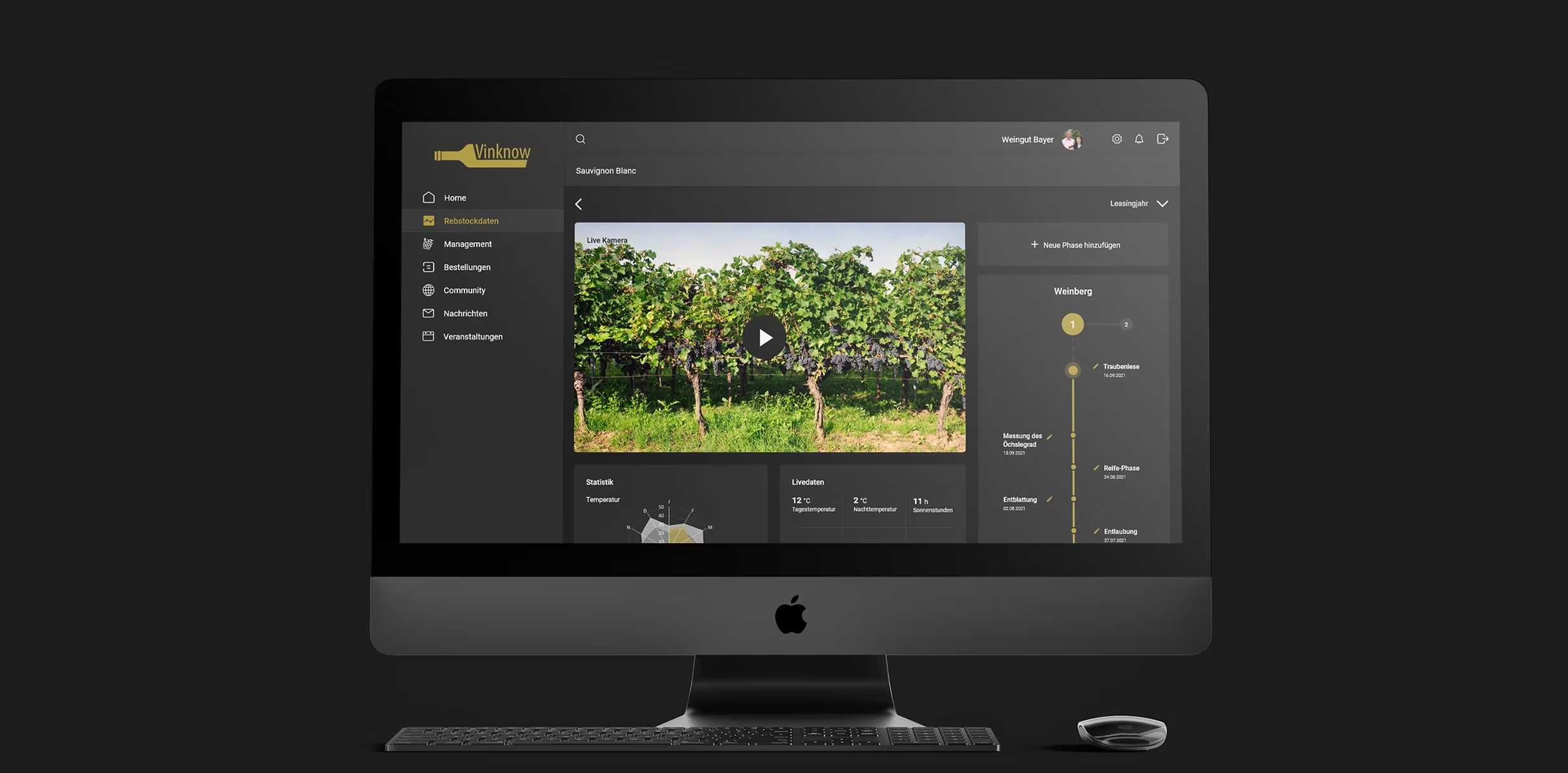 people playing basketball outside