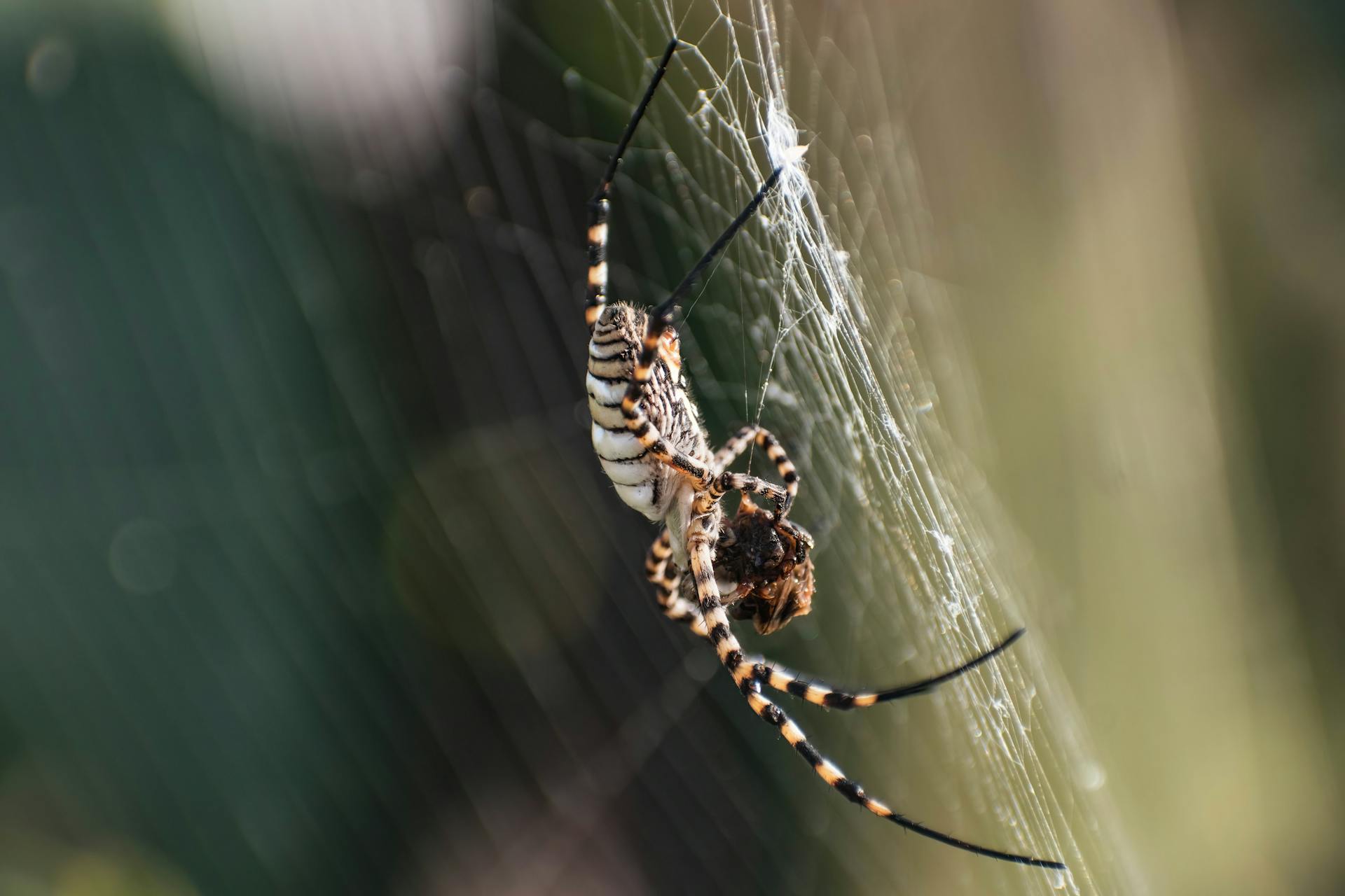 two people sitting on a ledge talking