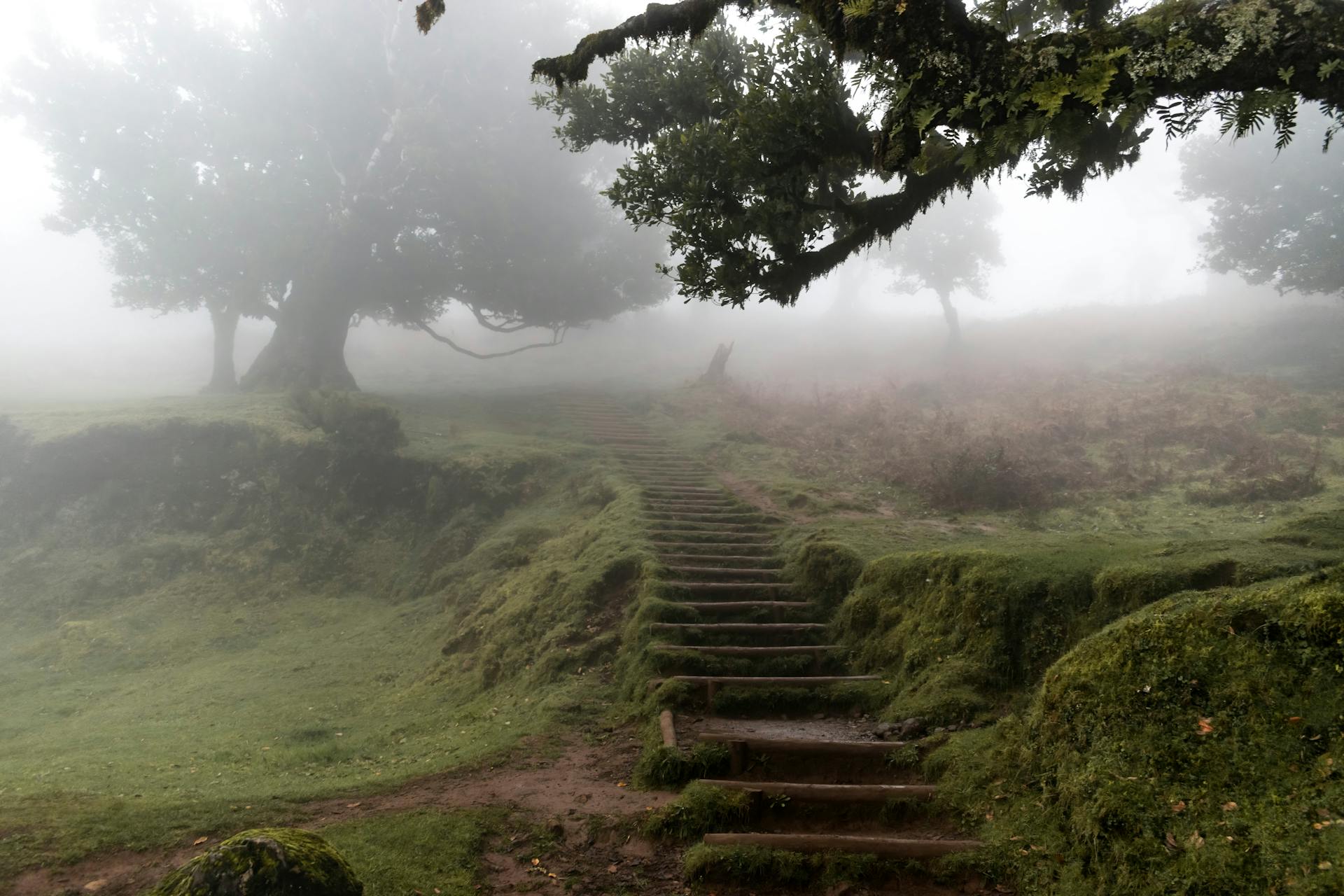 people playing basketball outside